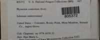Image Associated With the Occurence